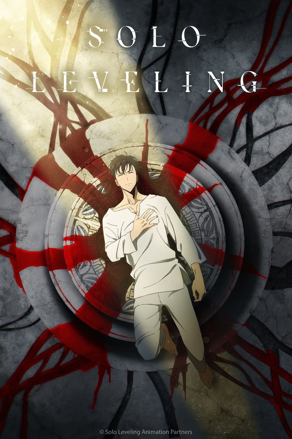 Solo Leveling Poster