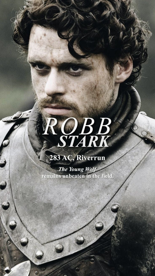 Robb Stark Poster | Game of Thrones