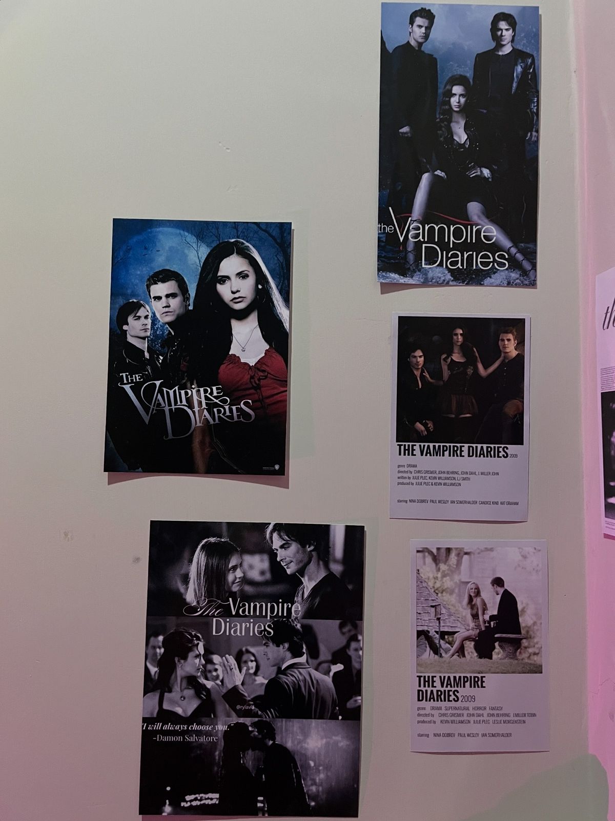 Vampire Diaries Bundle (8 posters)